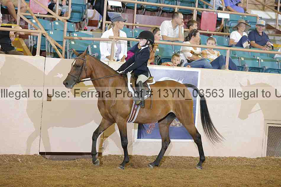 Proof 13yn_03563