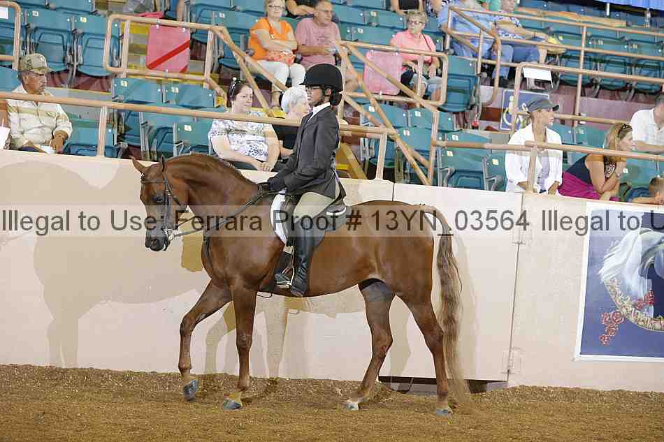 Proof 13yn_03564