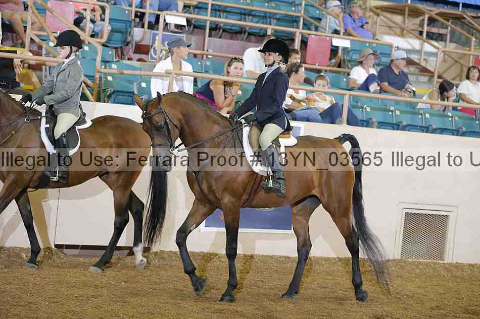Proof 13yn_03565