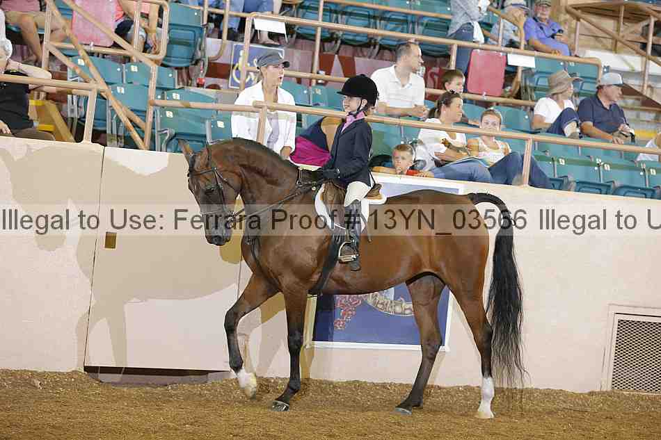 Proof 13yn_03566