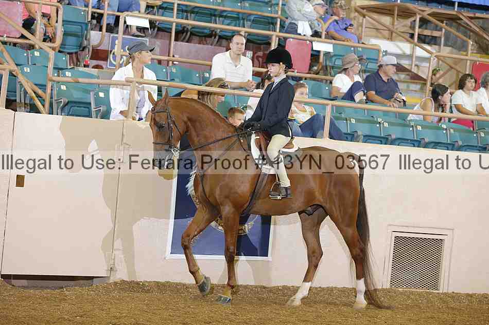 Proof 13yn_03567