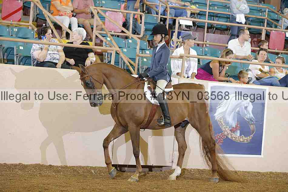 Proof 13yn_03568