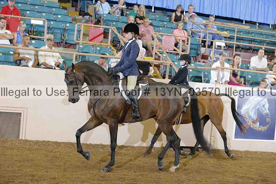Proof 13yn_03570