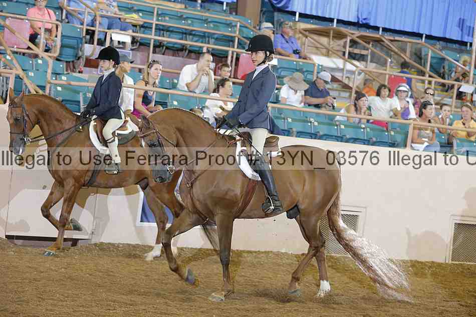 Proof 13yn_03576