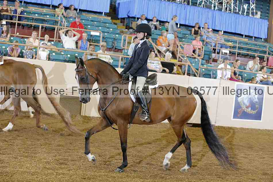 Proof 13yn_03577