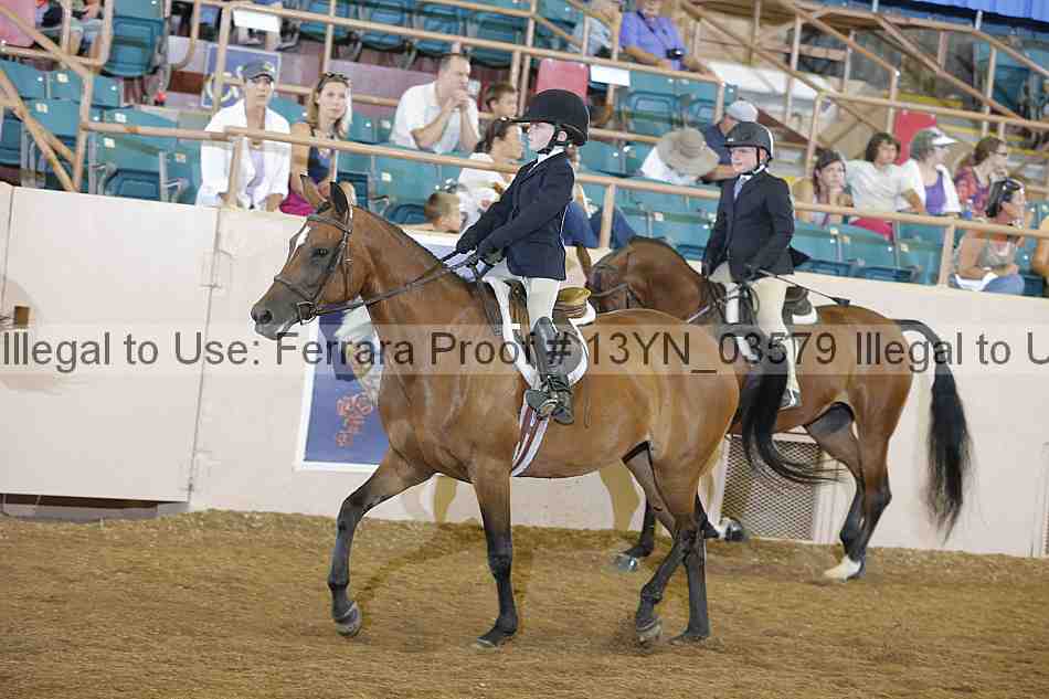 Proof 13yn_03579