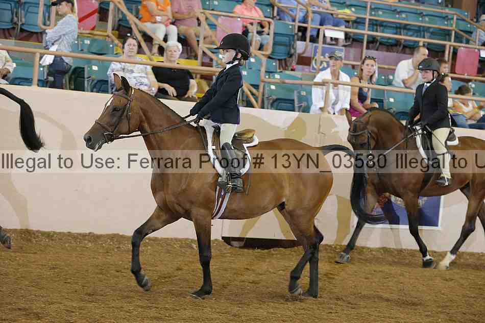 Proof 13yn_03580