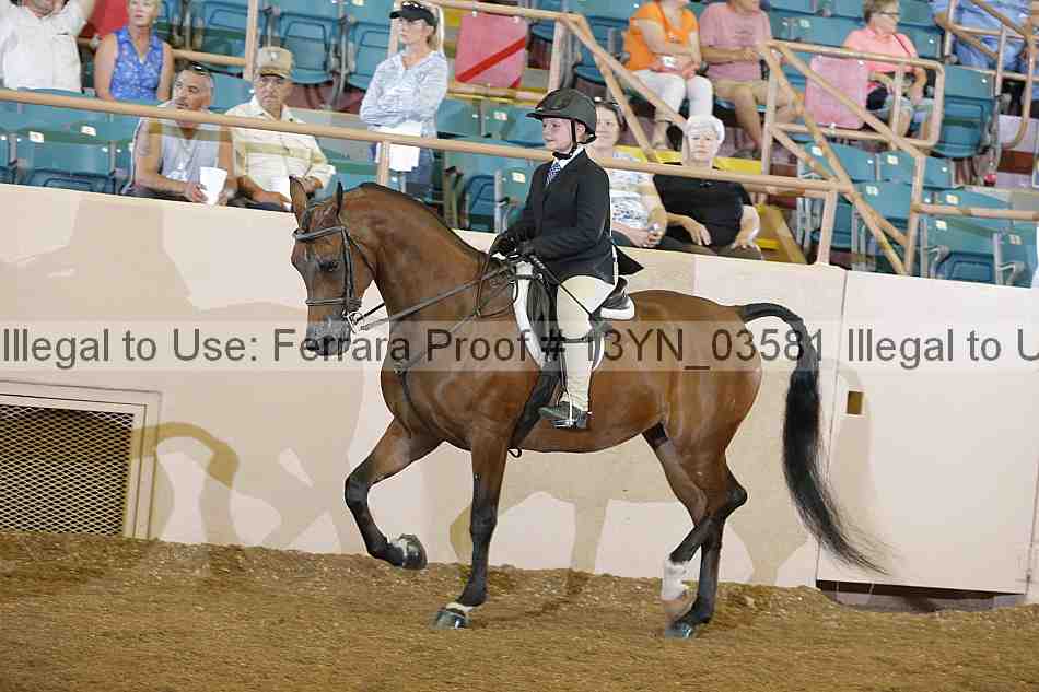 Proof 13yn_03581