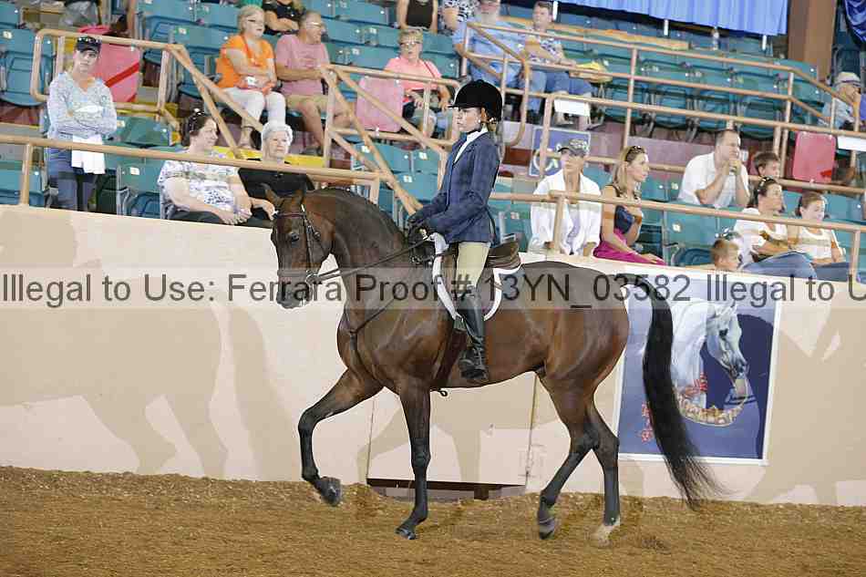 Proof 13yn_03582