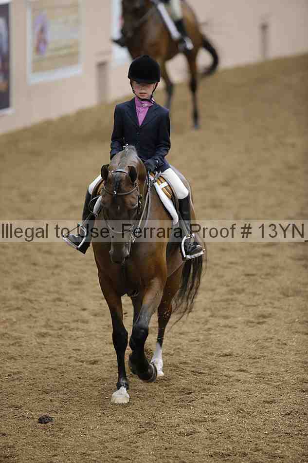 Proof 13yn_03583