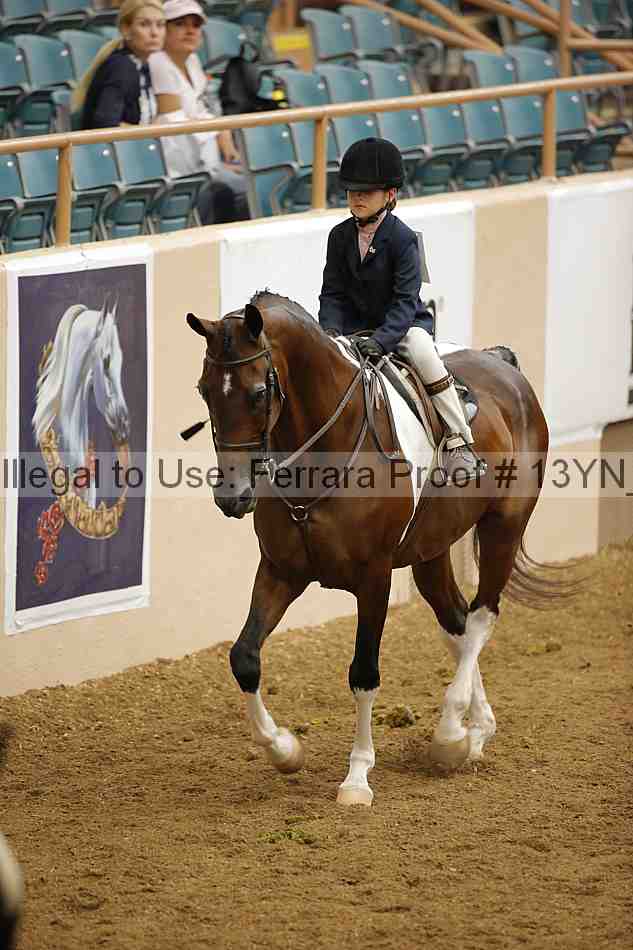 Proof 13yn_03585