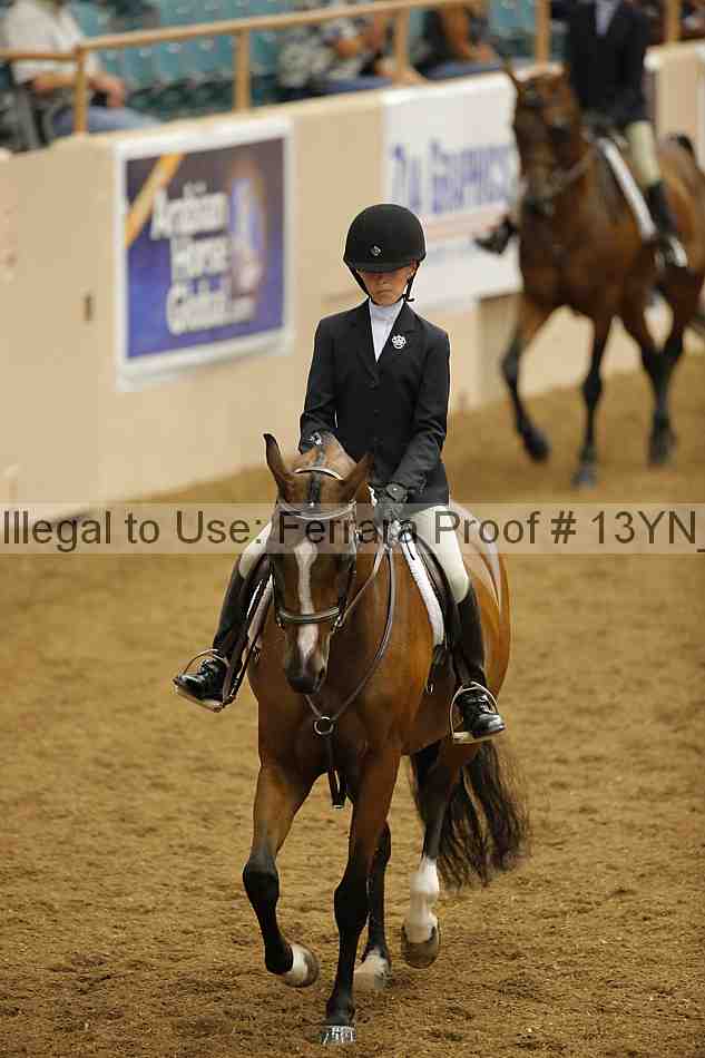 Proof 13yn_03589