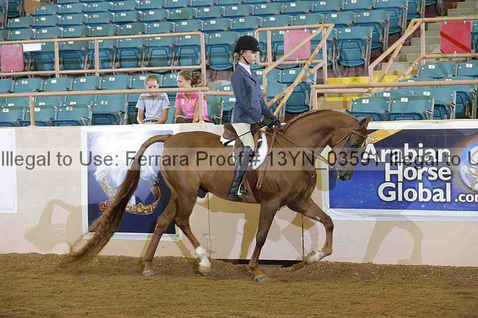 Proof 13yn_03591