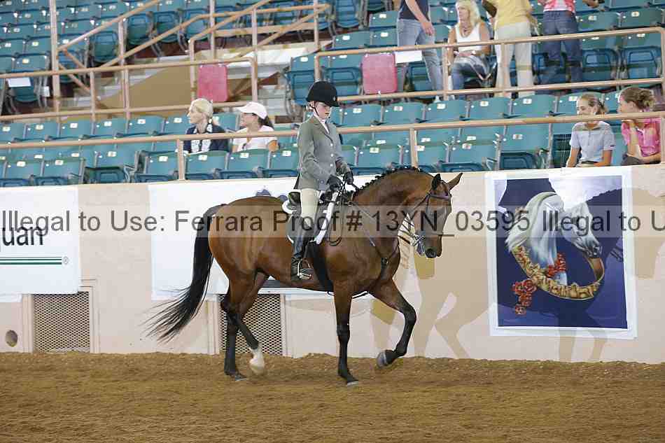 Proof 13yn_03595