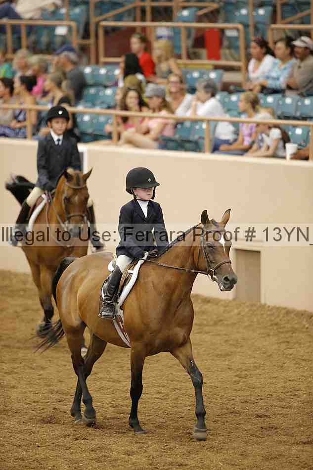 Proof 13yn_03596