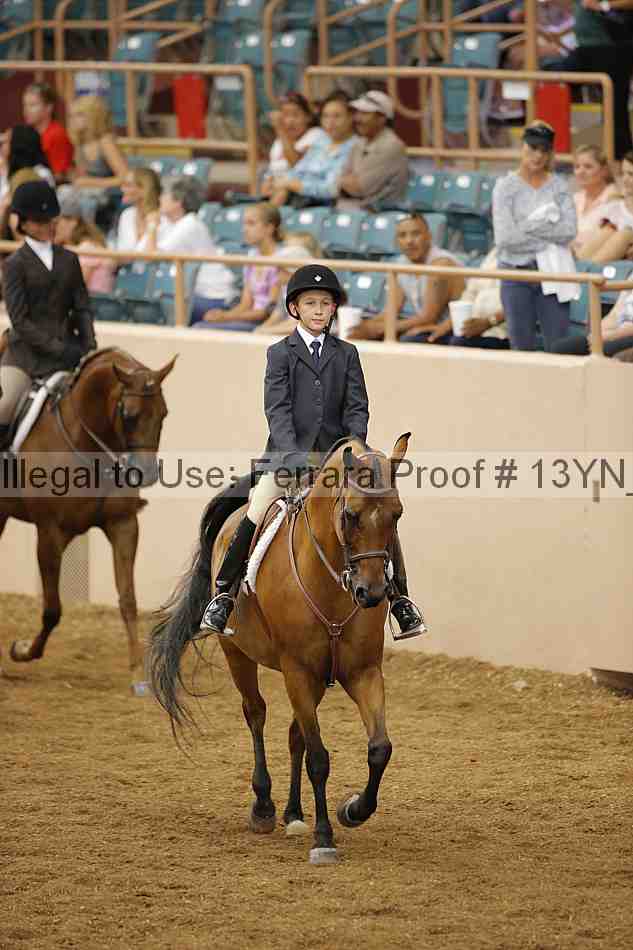 Proof 13yn_03597
