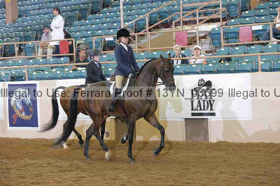 Proof 13yn_03599