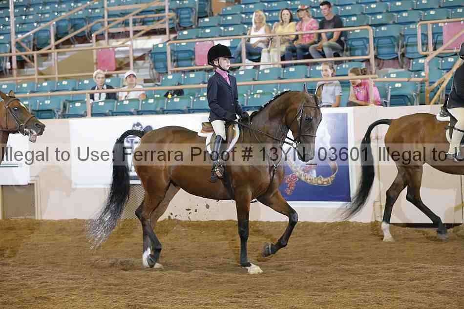 Proof 13yn_03601