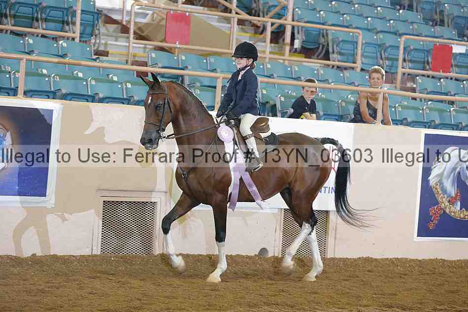 Proof 13yn_03603