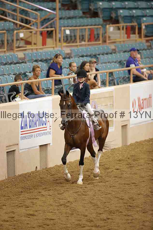 Proof 13yn_03605