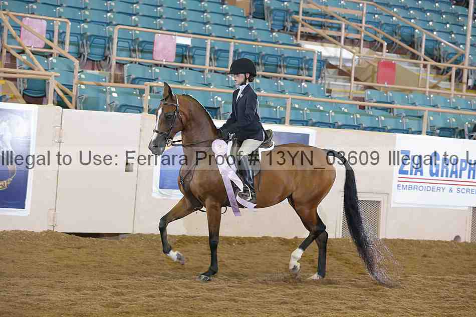 Proof 13yn_03609