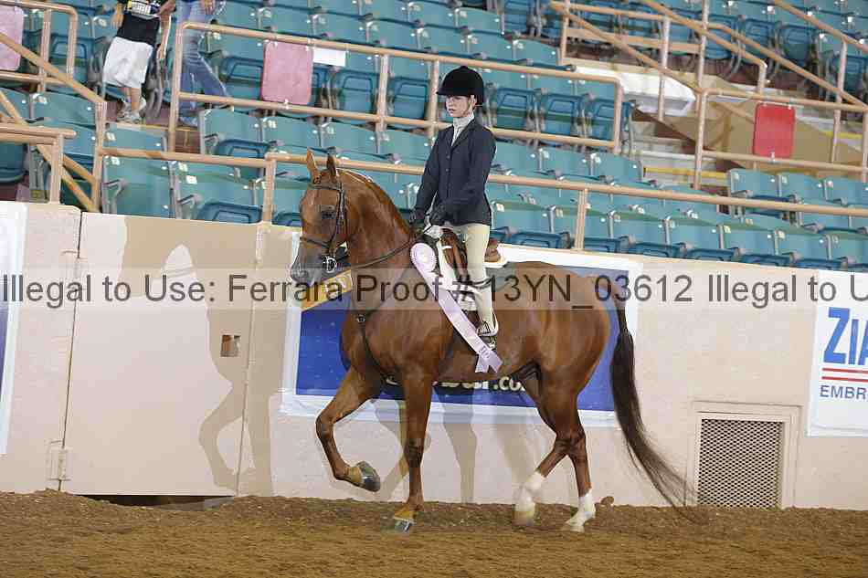 Proof 13yn_03612