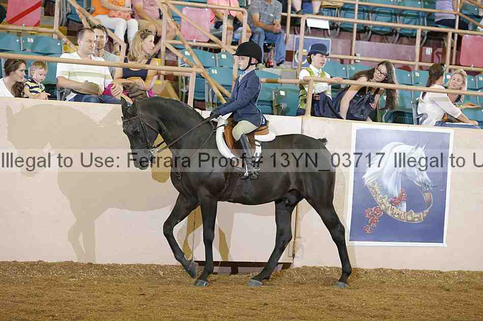 Proof 13yn_03717