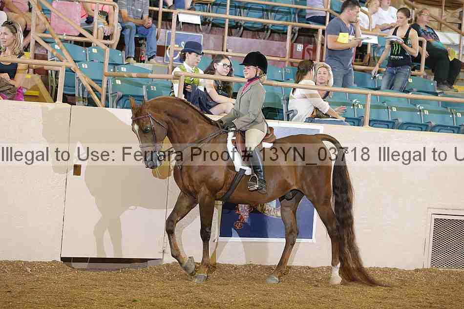 Proof 13yn_03718