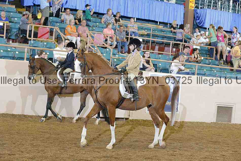 Proof 13yn_03725