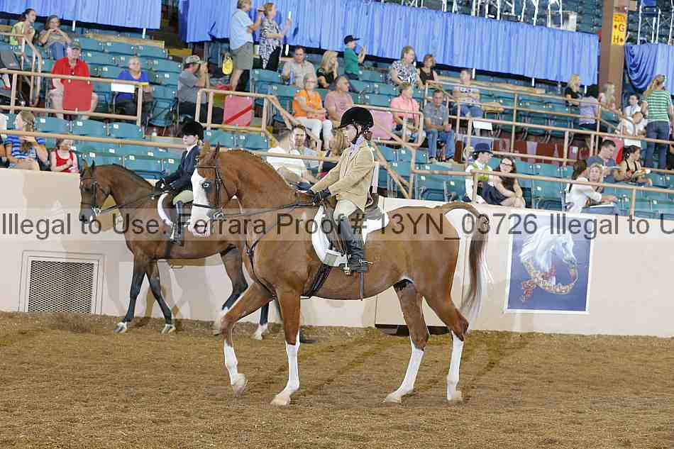 Proof 13yn_03726