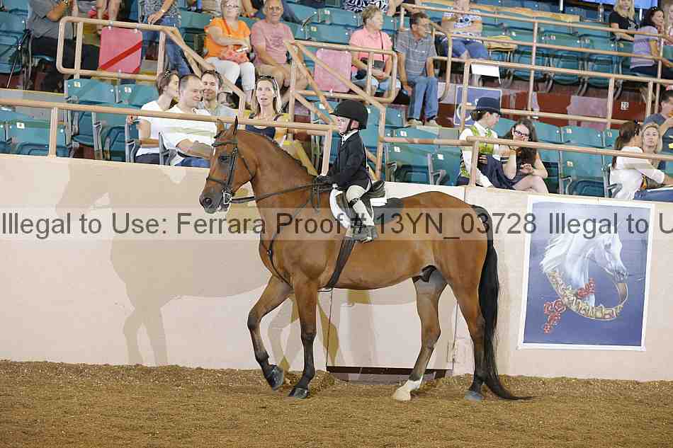 Proof 13yn_03728