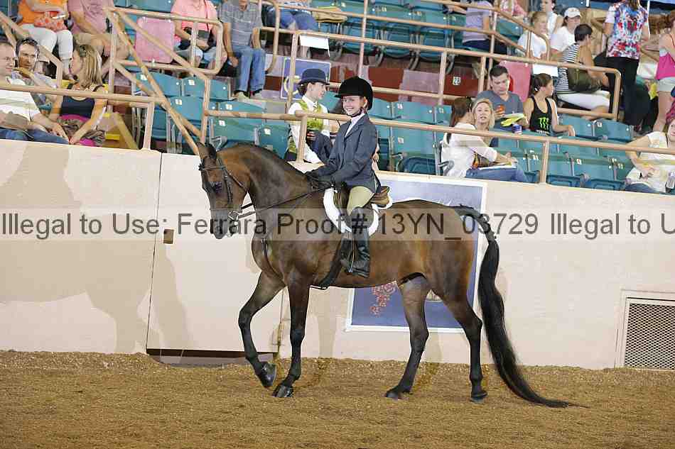 Proof 13yn_03729