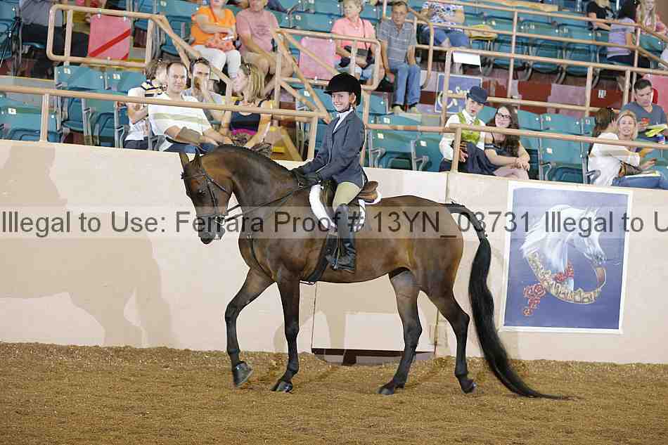 Proof 13yn_03731