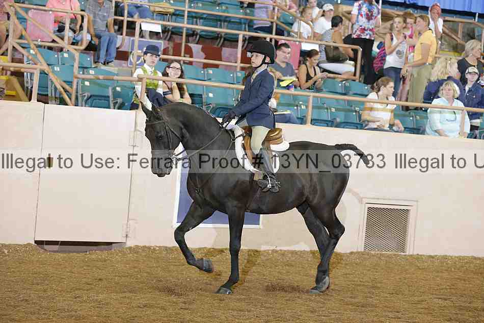 Proof 13yn_03733