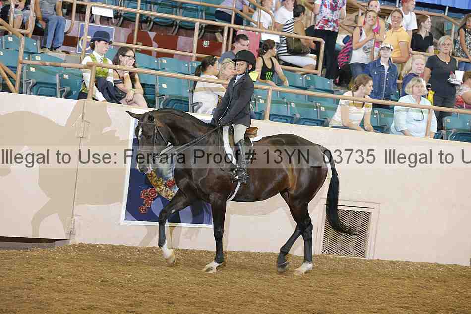 Proof 13yn_03735