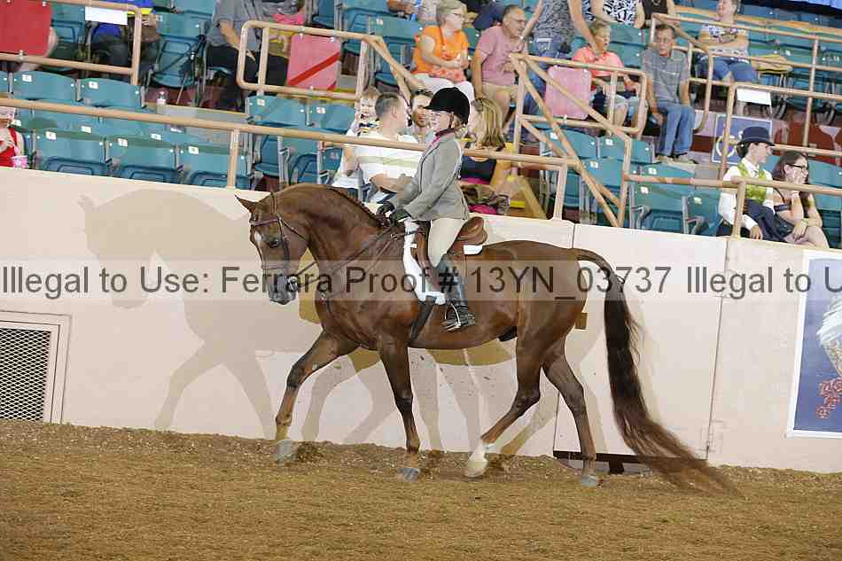 Proof 13yn_03737