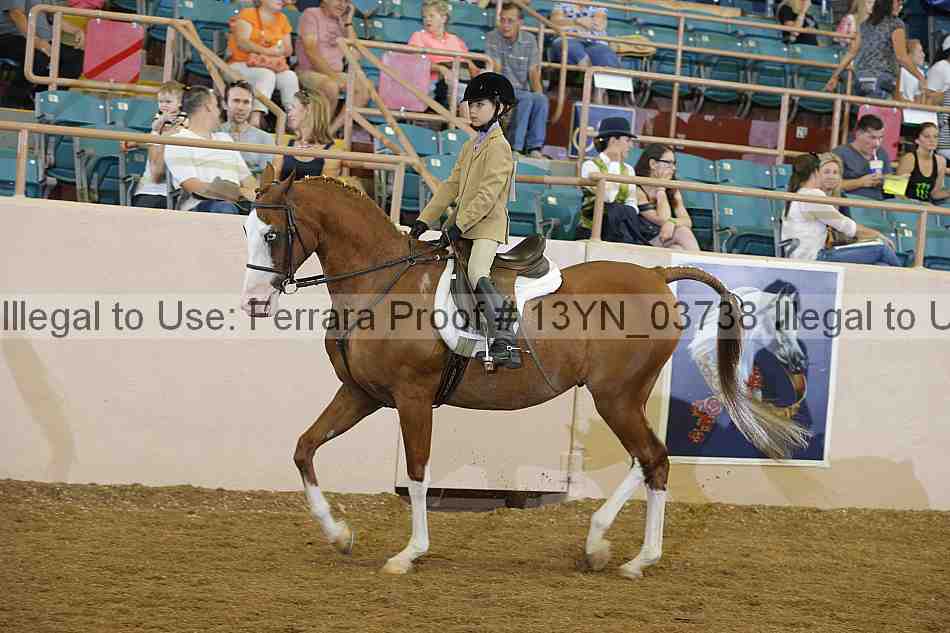 Proof 13yn_03738