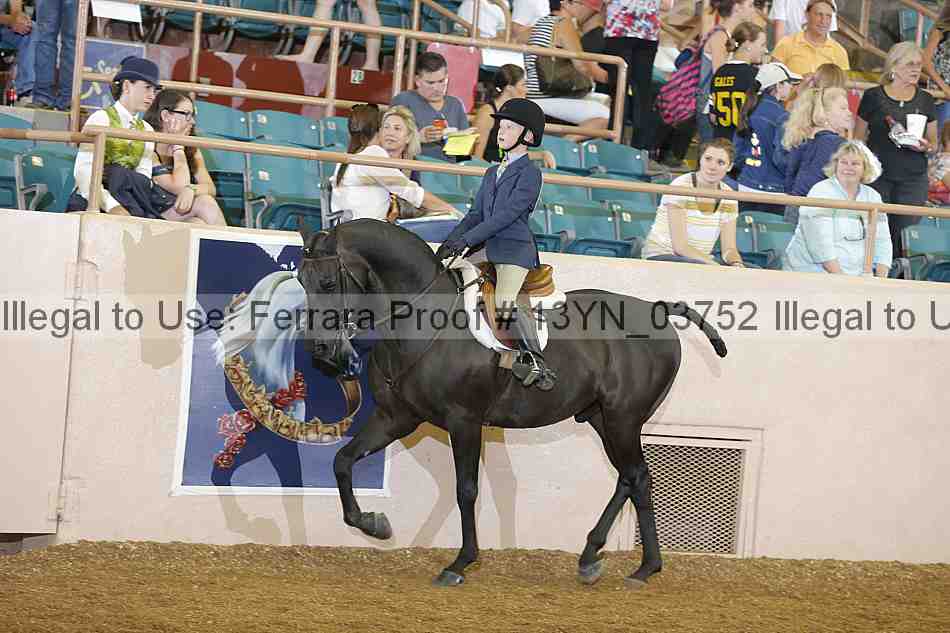 Proof 13yn_03752