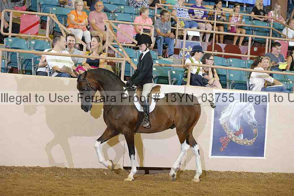 Proof 13yn_03755