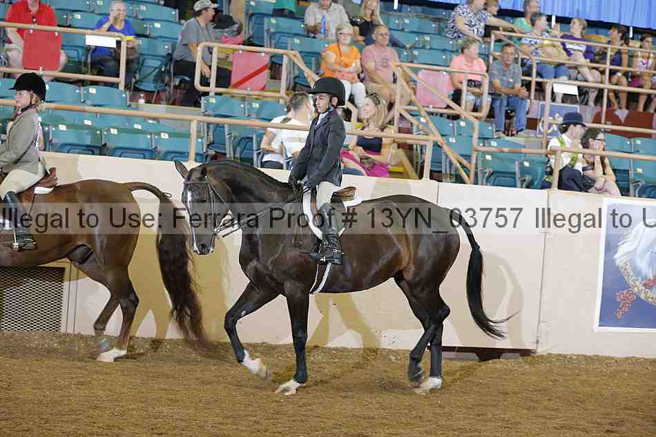 Proof 13yn_03757