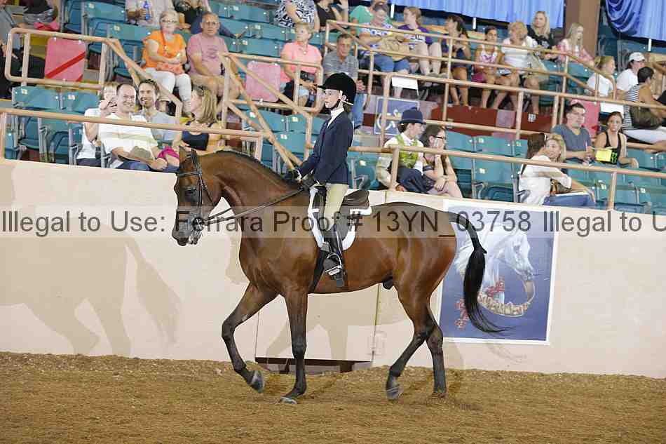 Proof 13yn_03758