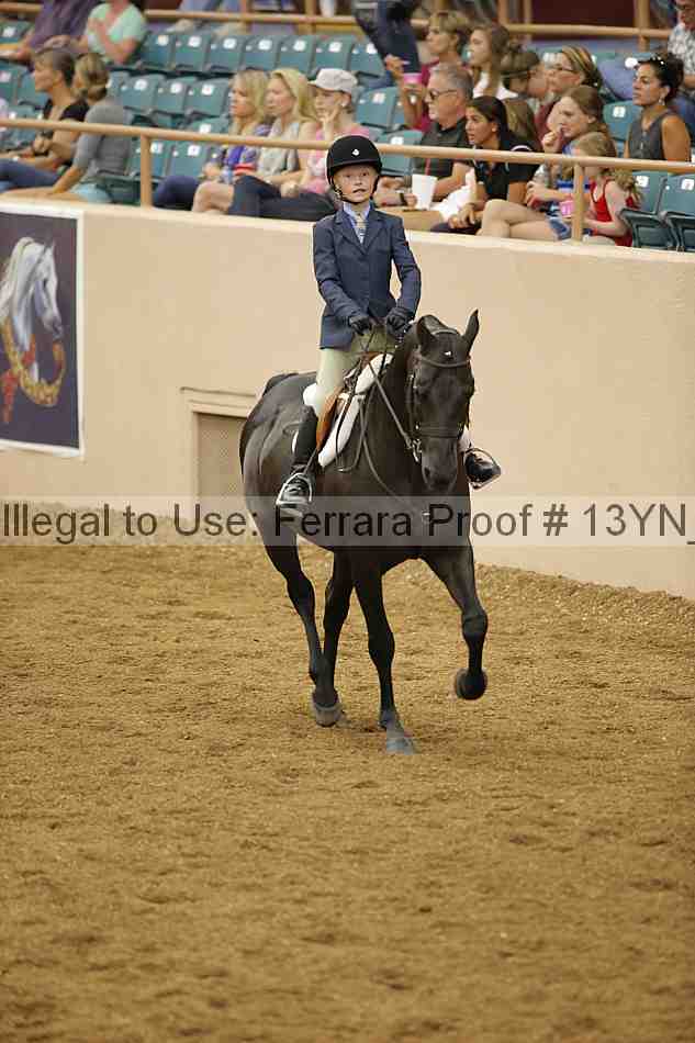 Proof 13yn_03765