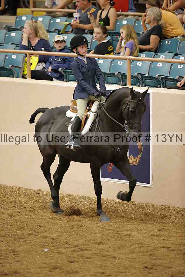 Proof 13yn_03767