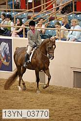 13yn_03770 proof