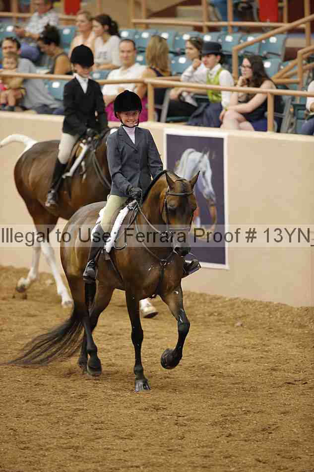 Proof 13yn_03771