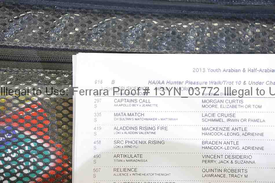 Proof 13yn_03772