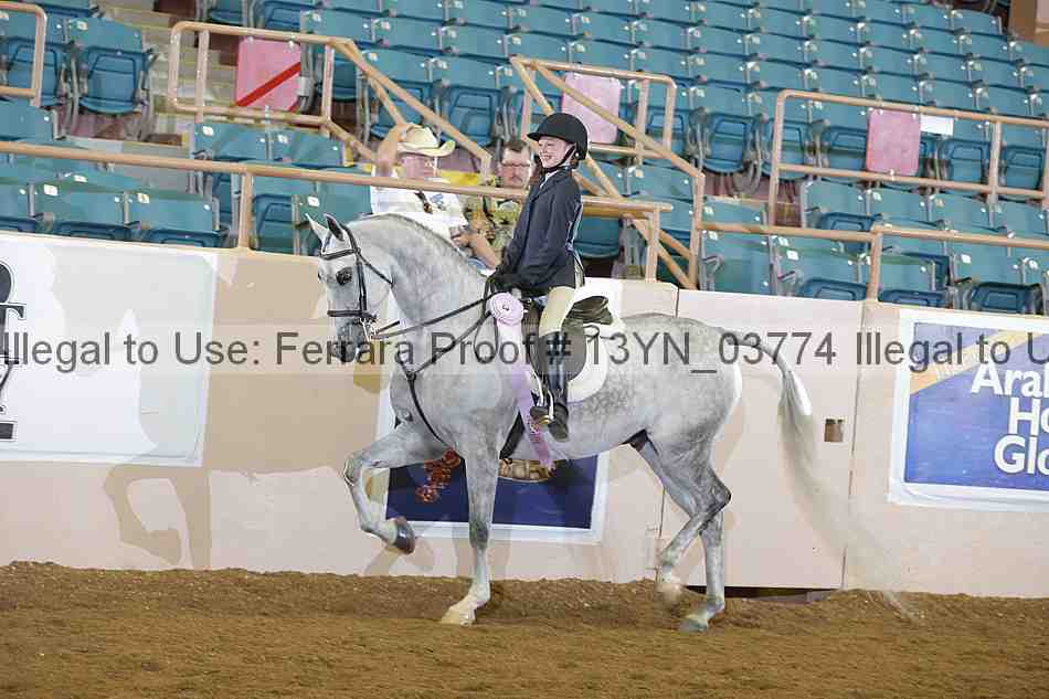Proof 13yn_03774