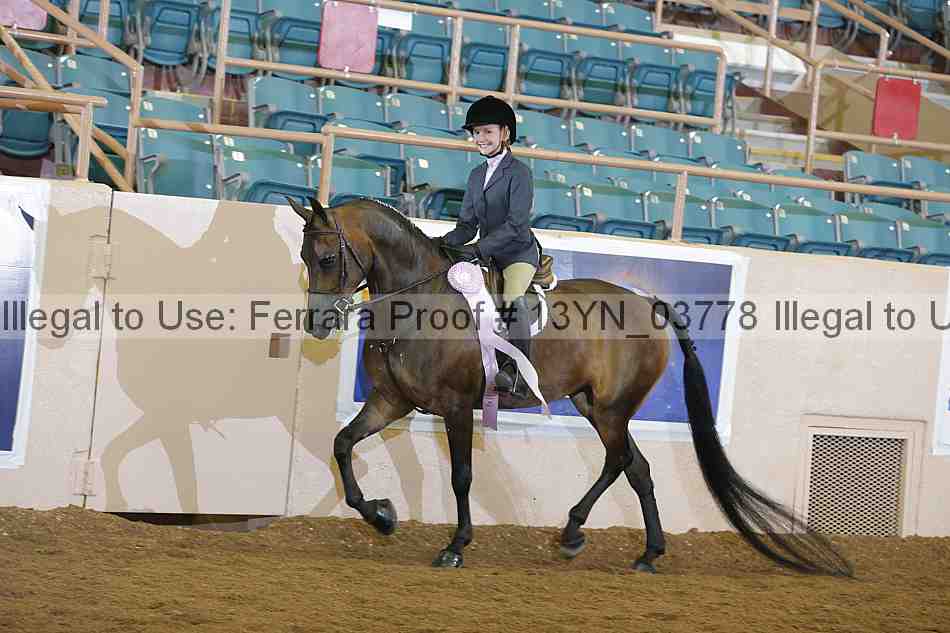Proof 13yn_03778
