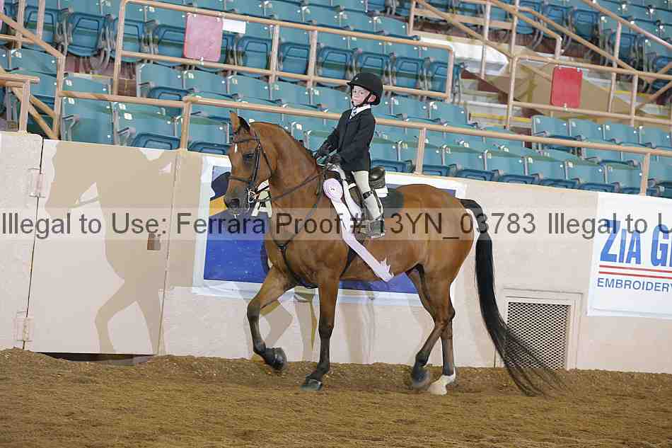 Proof 13yn_03783