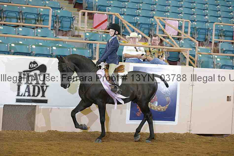 Proof 13yn_03788